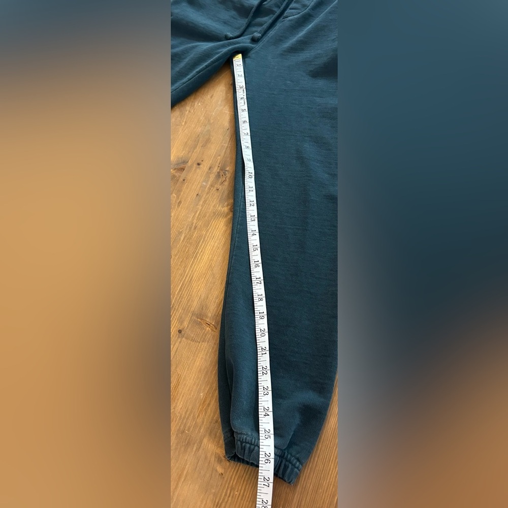 American Eagle Outfitters Teal Joggers Size M Streetwear Athleisure Distressed - Picture 14 of 15